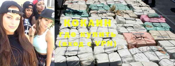 PSILOCYBIN Покачи