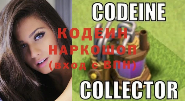 ПСИЛОЦИБИНОВЫЕ ГРИБЫ Мосальск