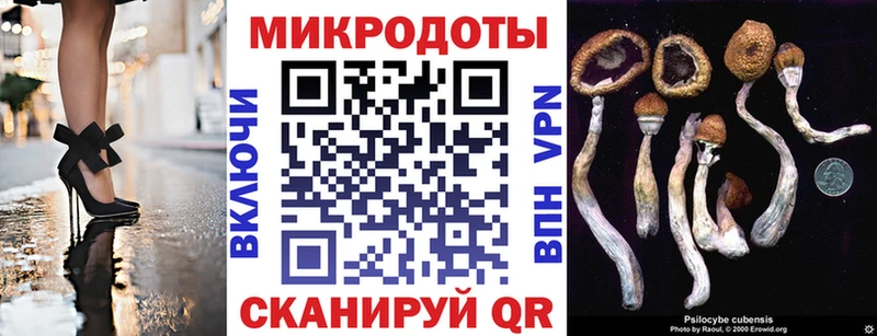 Псилоцибиновые грибы мухоморы  магазин продажи наркотиков  Новопавловск 